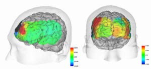 Simulating brain activity zum Forest AC von Nissan